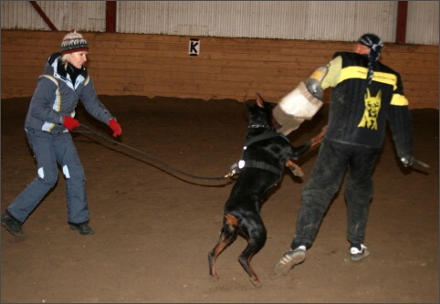 Training in Estonia 11/2007